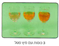 (בספר תמונה, היעזר במנחה)